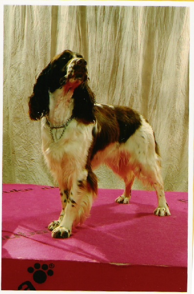 Vanille Des bords du cereix
