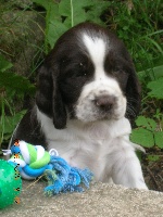 EZZIE
